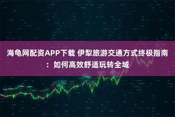海龟网配资APP下载 伊犁旅游交通方式终极指南：如何高效舒适玩转全域