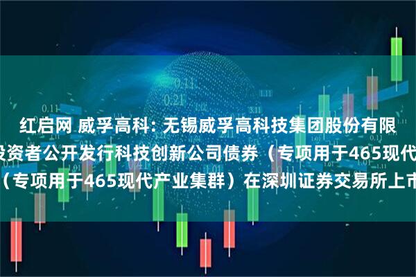 红启网 威孚高科: 无锡威孚高科技集团股份有限公司2025年面向专业投资者公开发行科技创新公司债券（专项用于465现代产业集群）在深圳证券交易所上市的公告