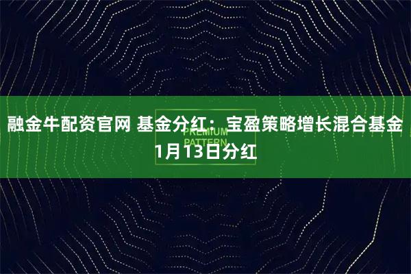 融金牛配资官网 基金分红：宝盈策略增长混合基金1月13日分红