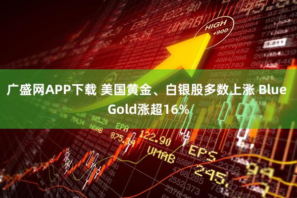 广盛网APP下载 美国黄金、白银股多数上涨 Blue Gold涨超16%
