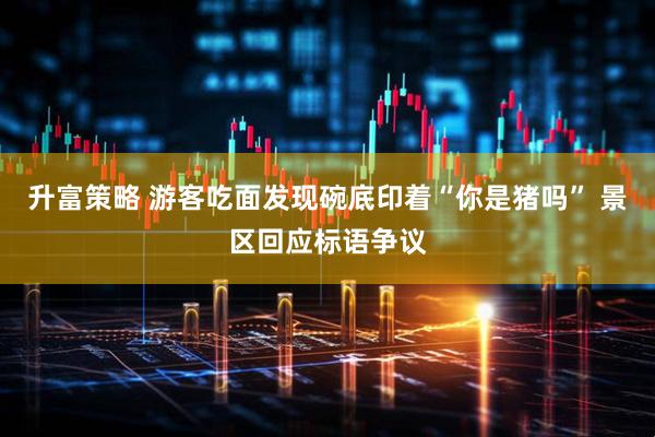 升富策略 游客吃面发现碗底印着“你是猪吗” 景区回应标语争议