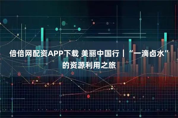 倍倍网配资APP下载 美丽中国行|“一滴卤水”的资源利用之旅